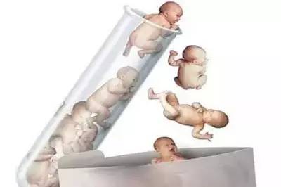 生殖内分泌专家